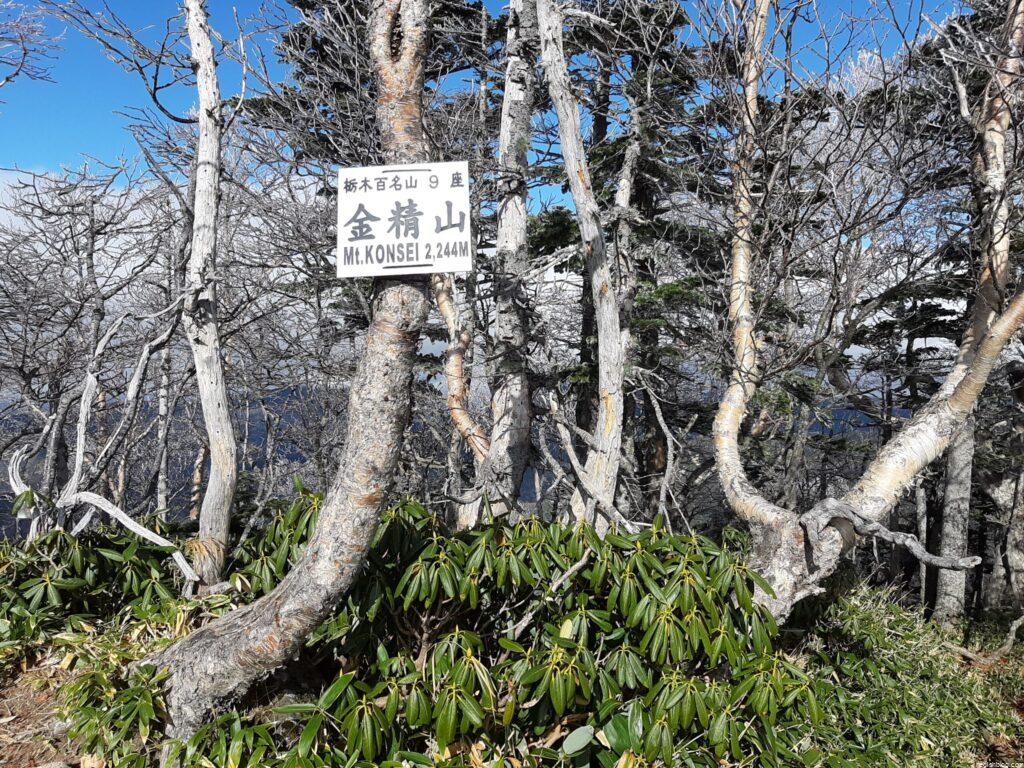 金精山山頂