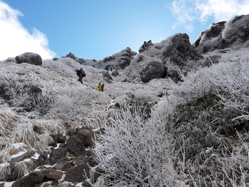 岩場と樹氷